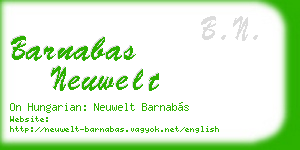 barnabas neuwelt business card